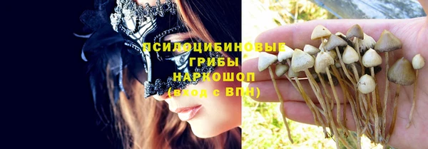 сатива Костерёво