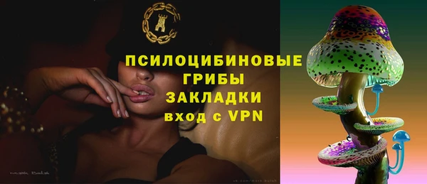 сатива Костерёво