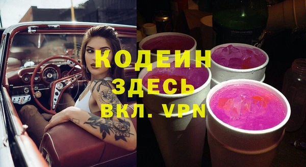 твердый Корсаков