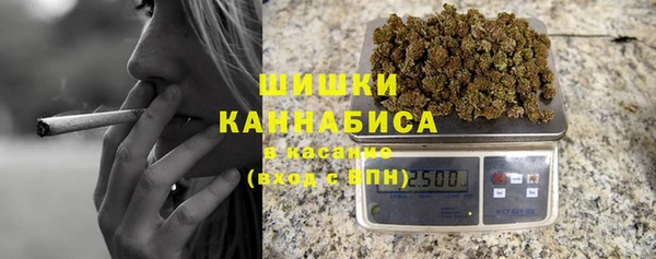 сатива Костерёво